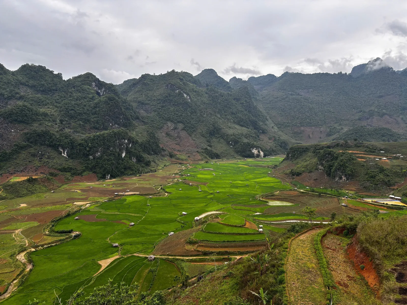 Thung lũng ruộng lúa xanh mướt bao quanh bởi núi đá vôi gần Điện Biên Phủ, Việt Nam.